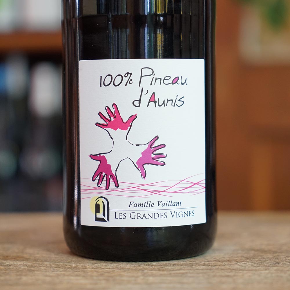 Pineau d'Aunis 2023 - Les Grandes Vignes