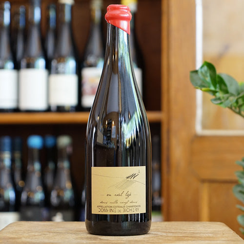 Côteaux Champenois Rouge 2022 - Domaine De Bichery