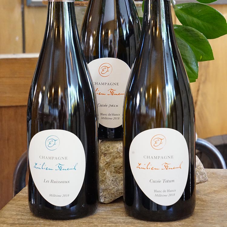 Côteaux Champenois "Les Puits" 2016 - Emilien Feneuil