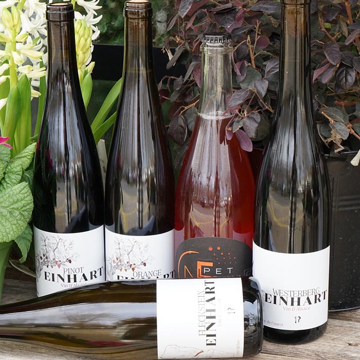 Alsace 2023 - Domaine Einhart