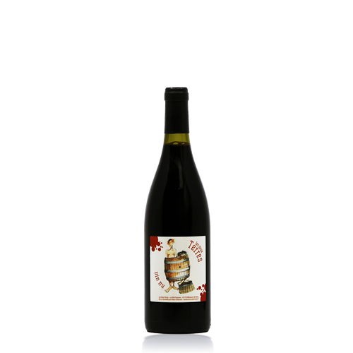 Vin de France "Vin Nu" Rouge - 2021 (Domaine les Deux Terres)